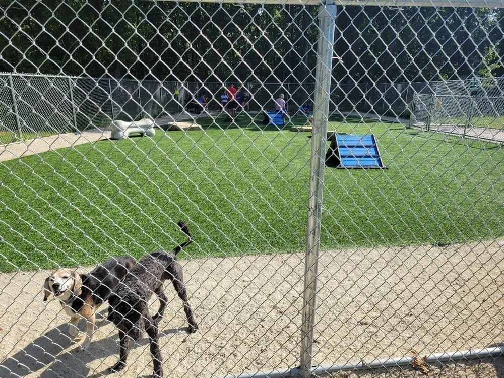 Fairlawn Dog Park, photo 3