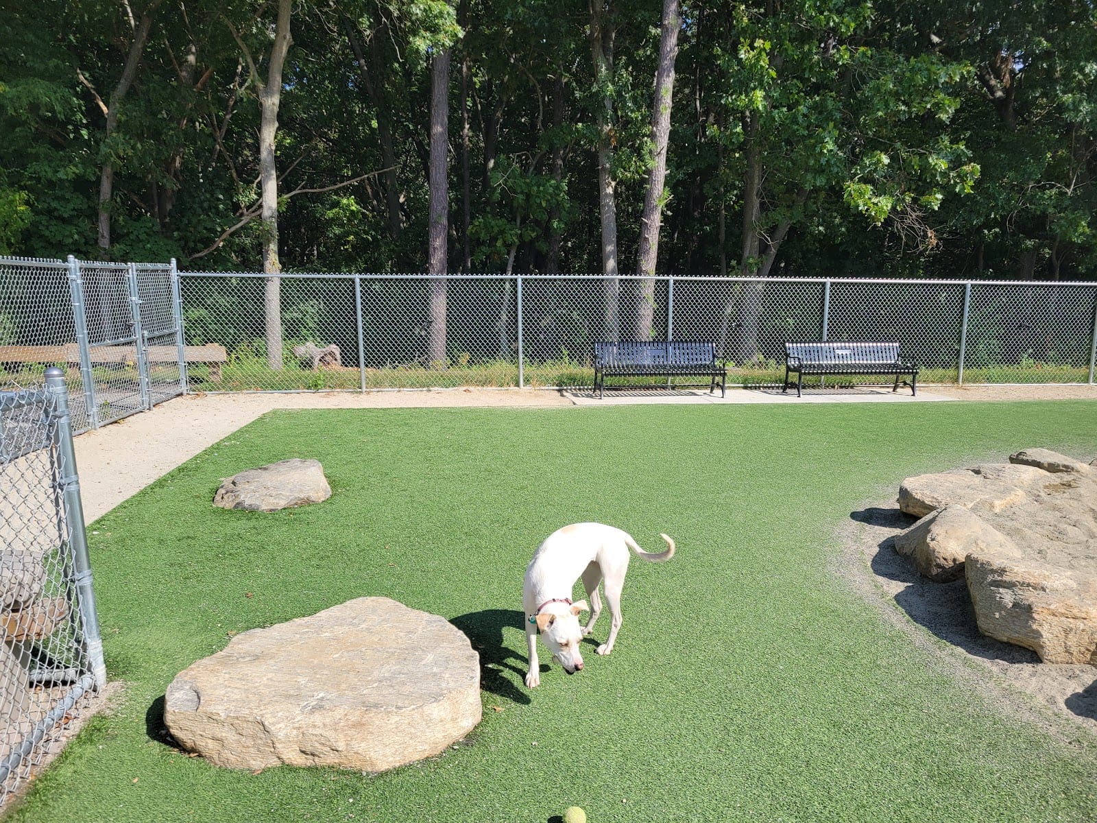 Fairlawn Dog Park