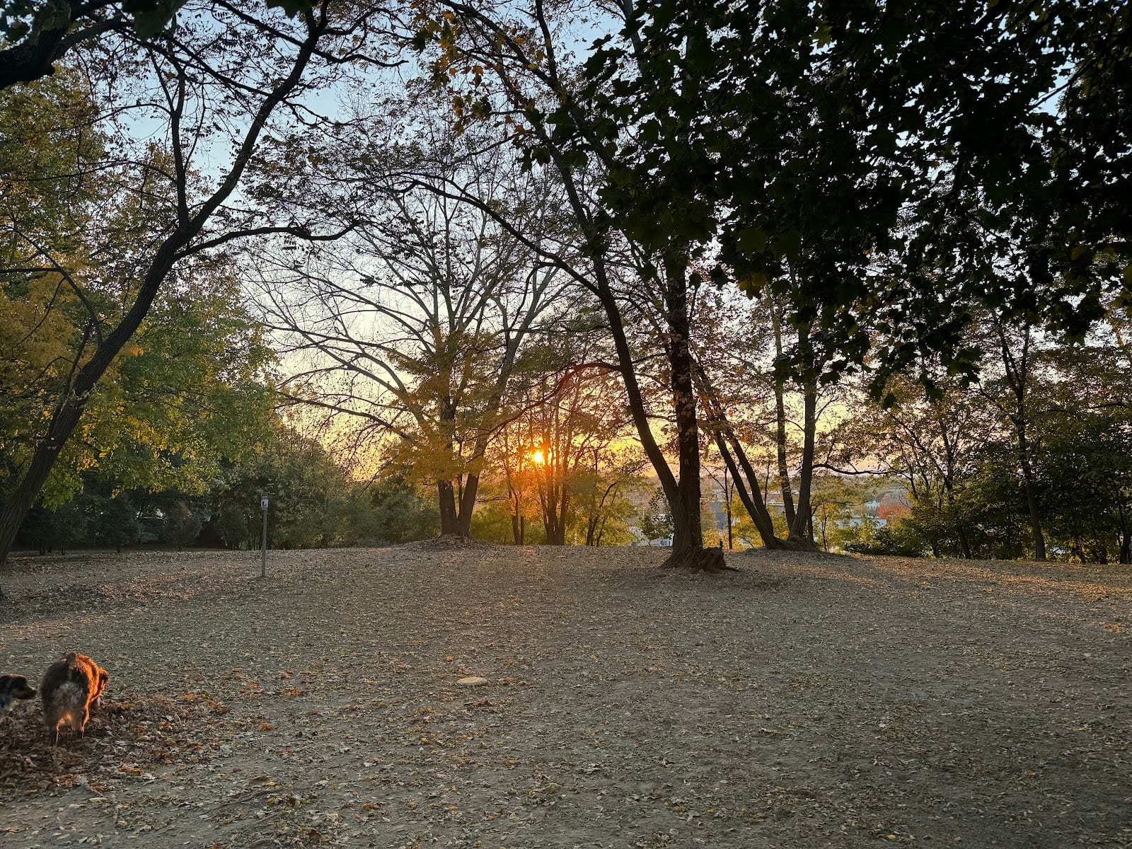 Franciscan Park