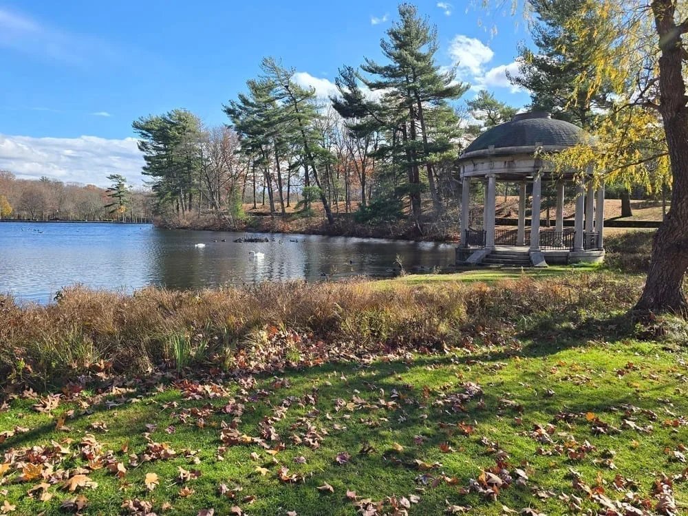 Pawtucket Dog Park at Slater Park, photo 2