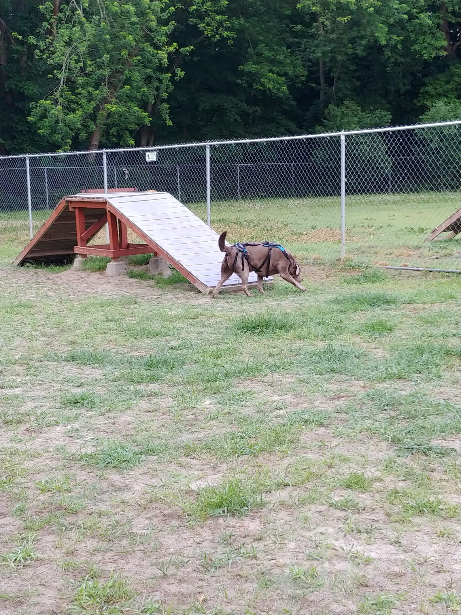 Pawtucket Dog Park (at Slater Park)
