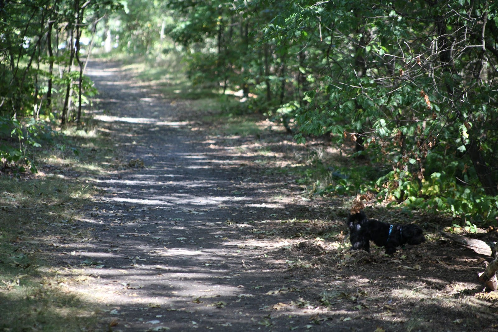 Wanskuck Park