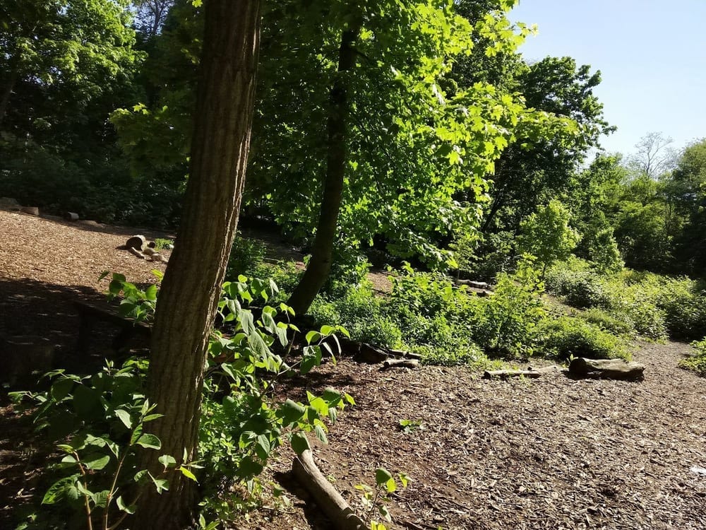 Waterman St. Dog Park, photo 2