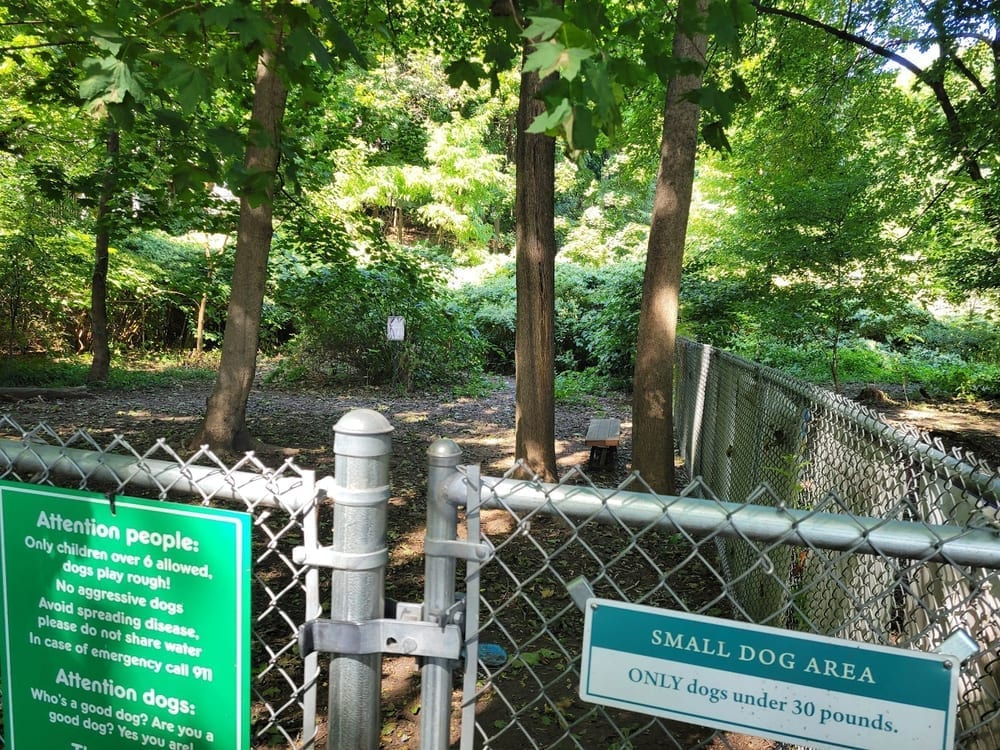 Waterman St. Dog Park, photo 3