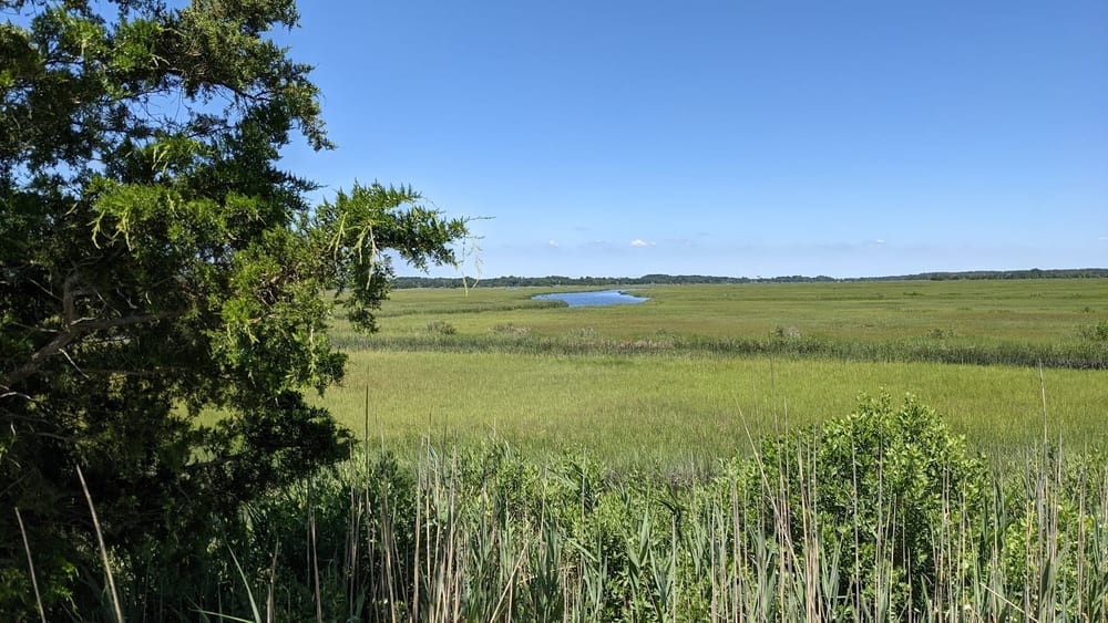 Gordons Pond Beach, photo 3