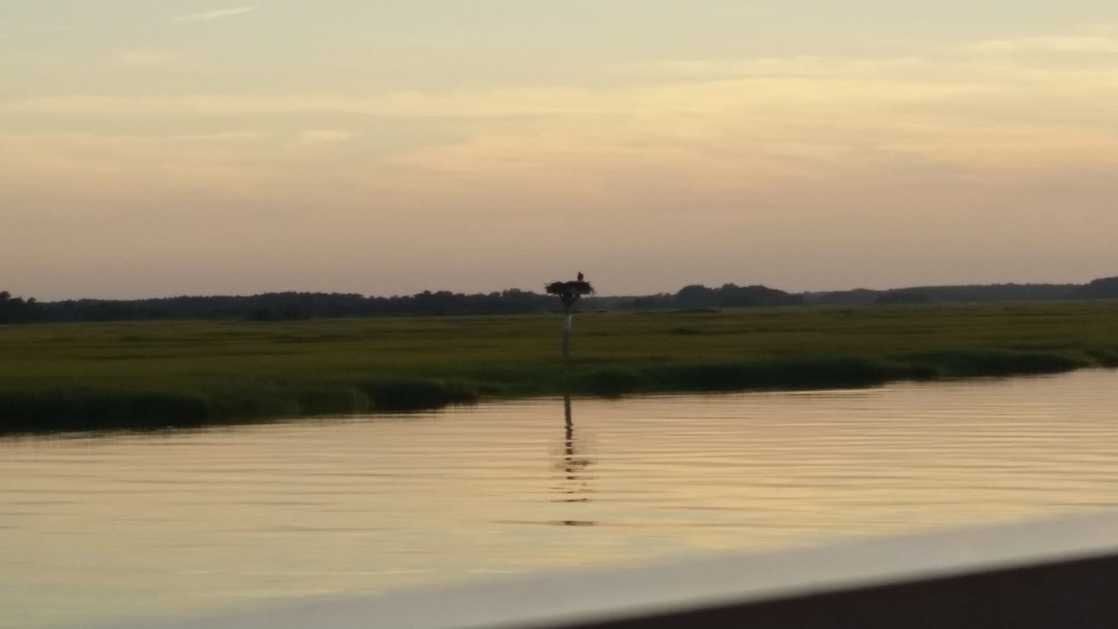 Great Marsh Preserve