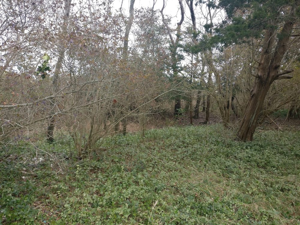 Great Marsh Preserve, photo 2