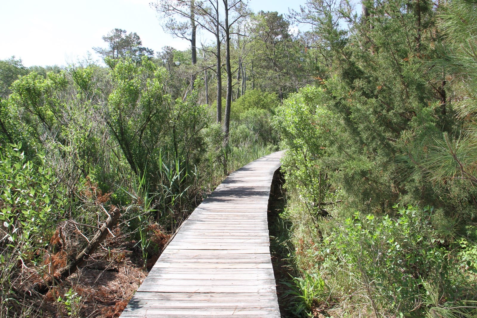 James Farm Ecological Preserve