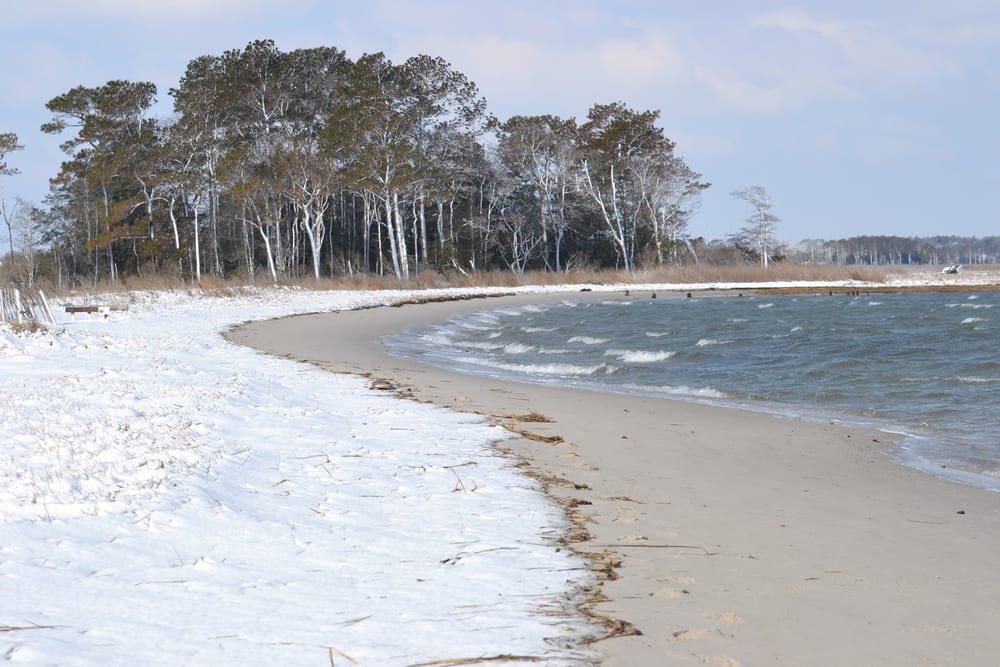 James Farm Ecological Preserve, photo 3