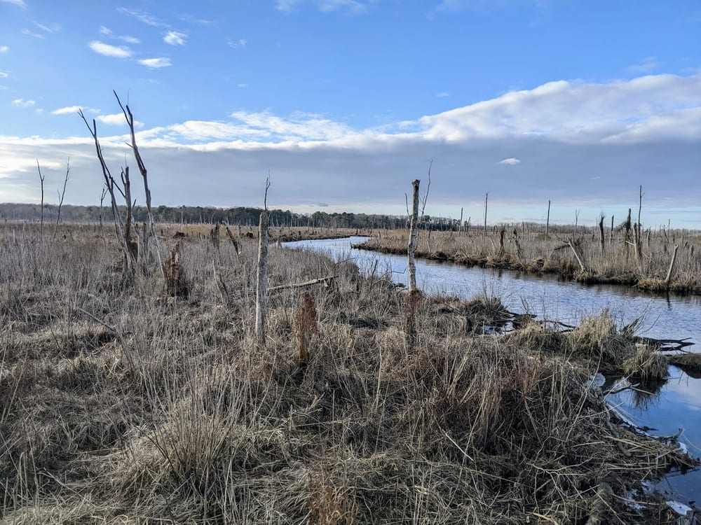 Junction and Breakwater Trail, photo 3