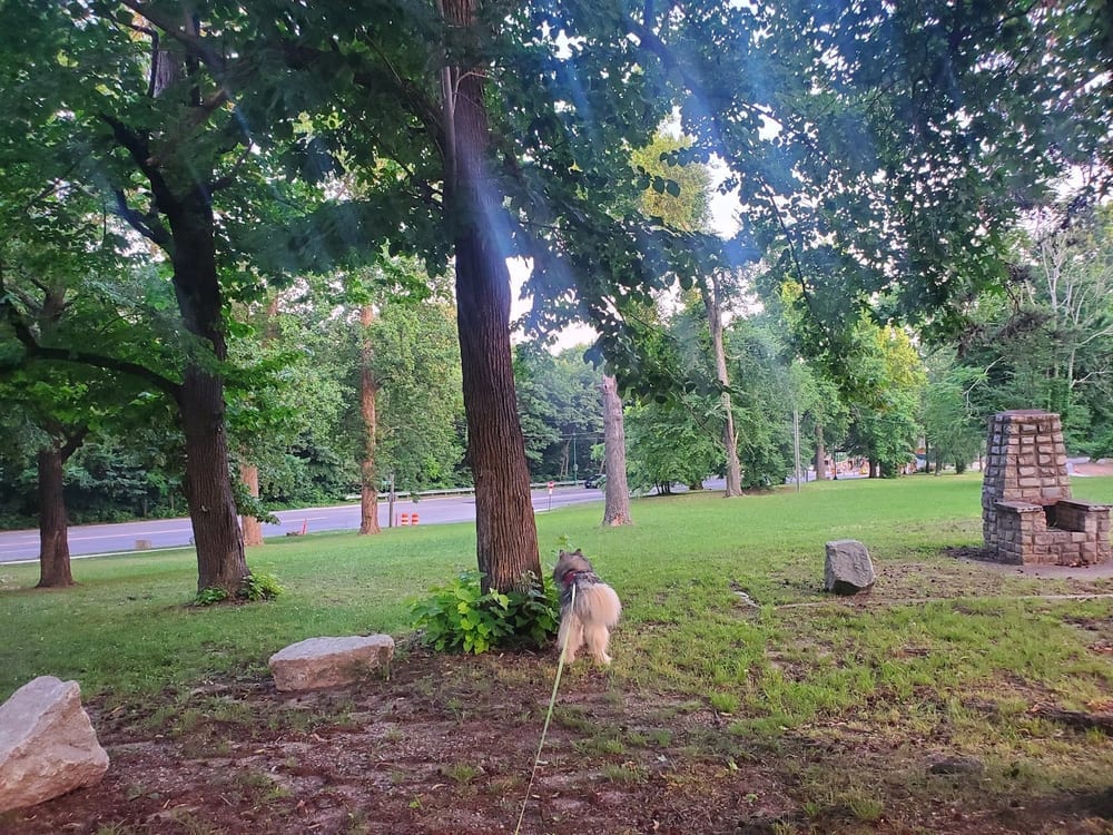 Barker Field, photo 2