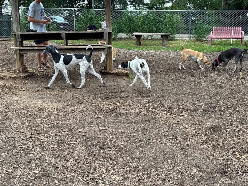 Barker Field, photo 3