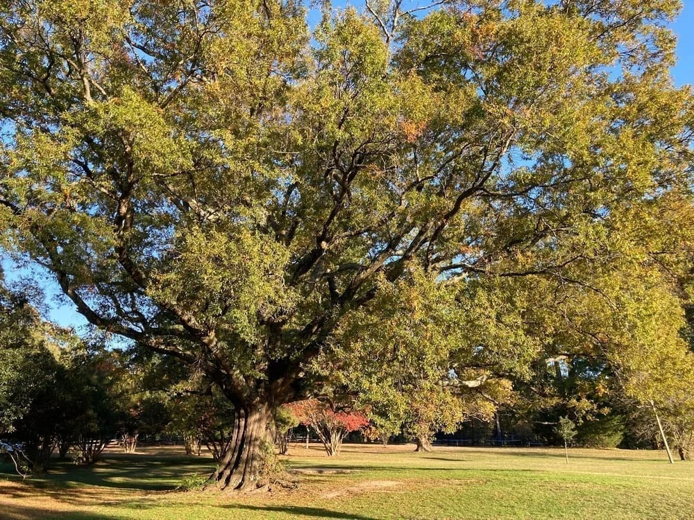 Bryan Park, photo 3