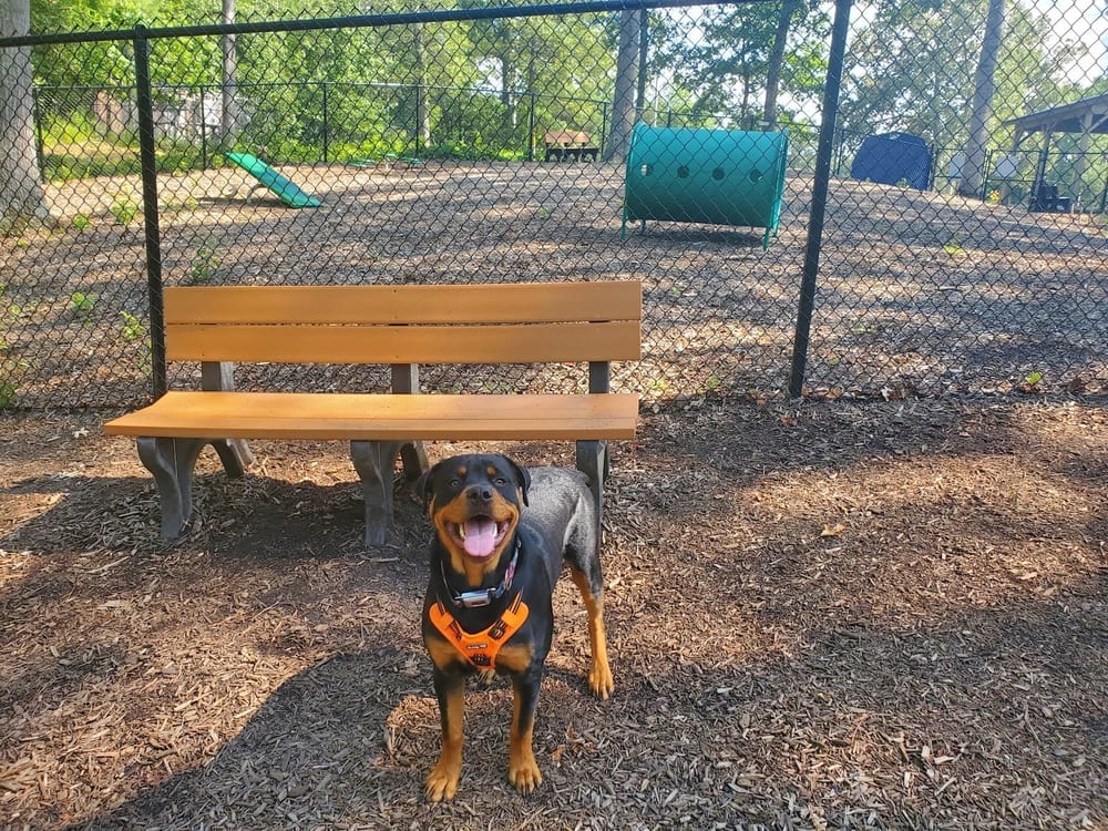 Chester Dog Park, photo 2