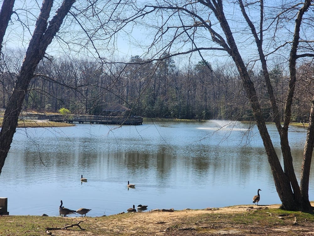 Dorey Dog Park, photo 2