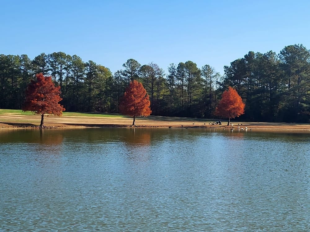 Dorey Park and Recreation Center, photo 2