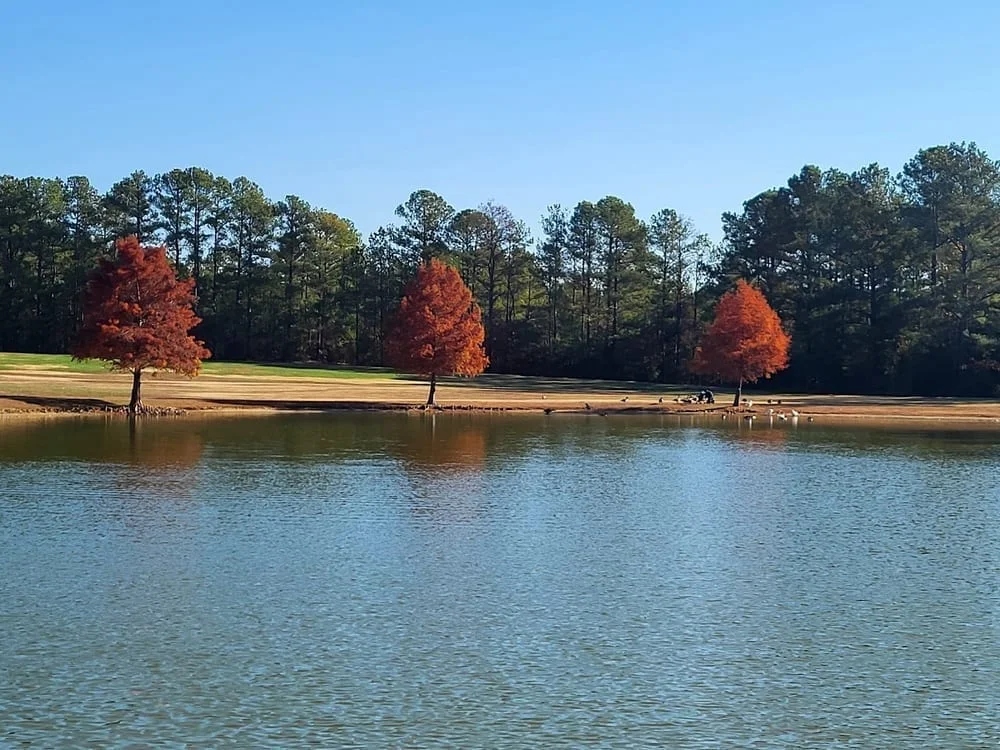 Dorey Park and Recreation Center, photo 2