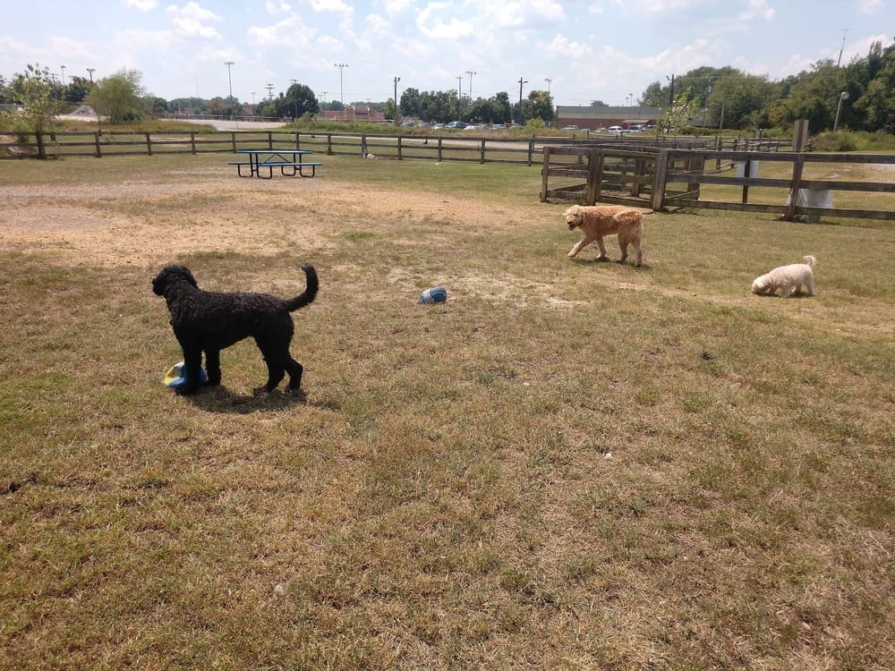 Northside Dog Park, photo 3