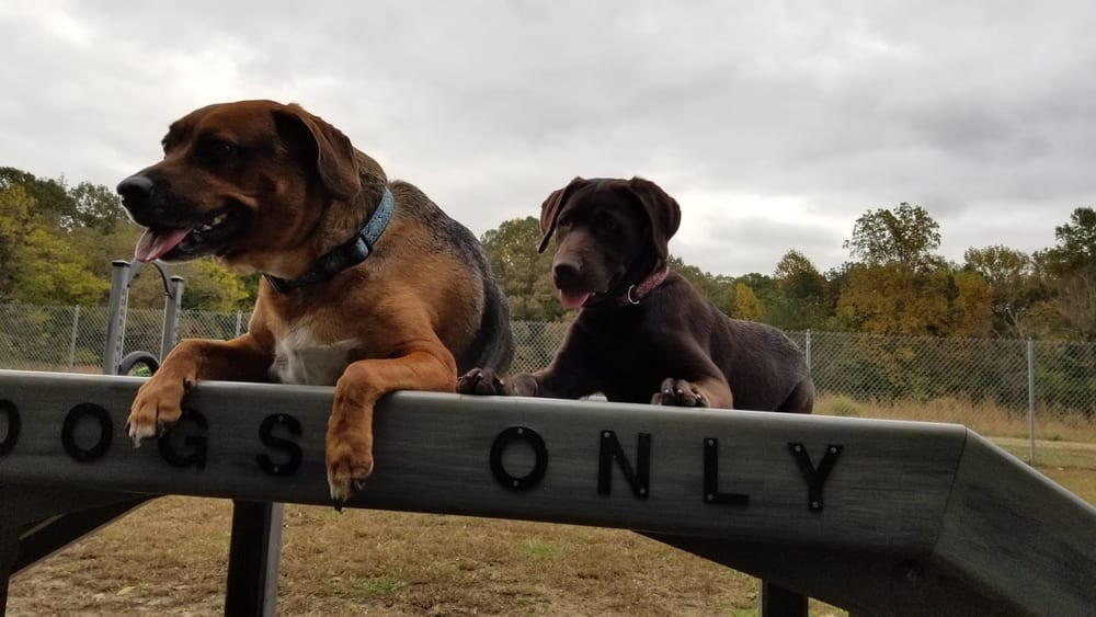 Pole Green Dog Park, photo 2