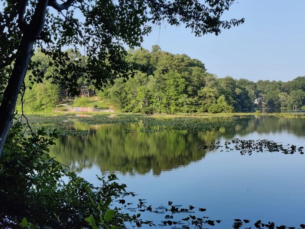 Rockwood Park, photo 3