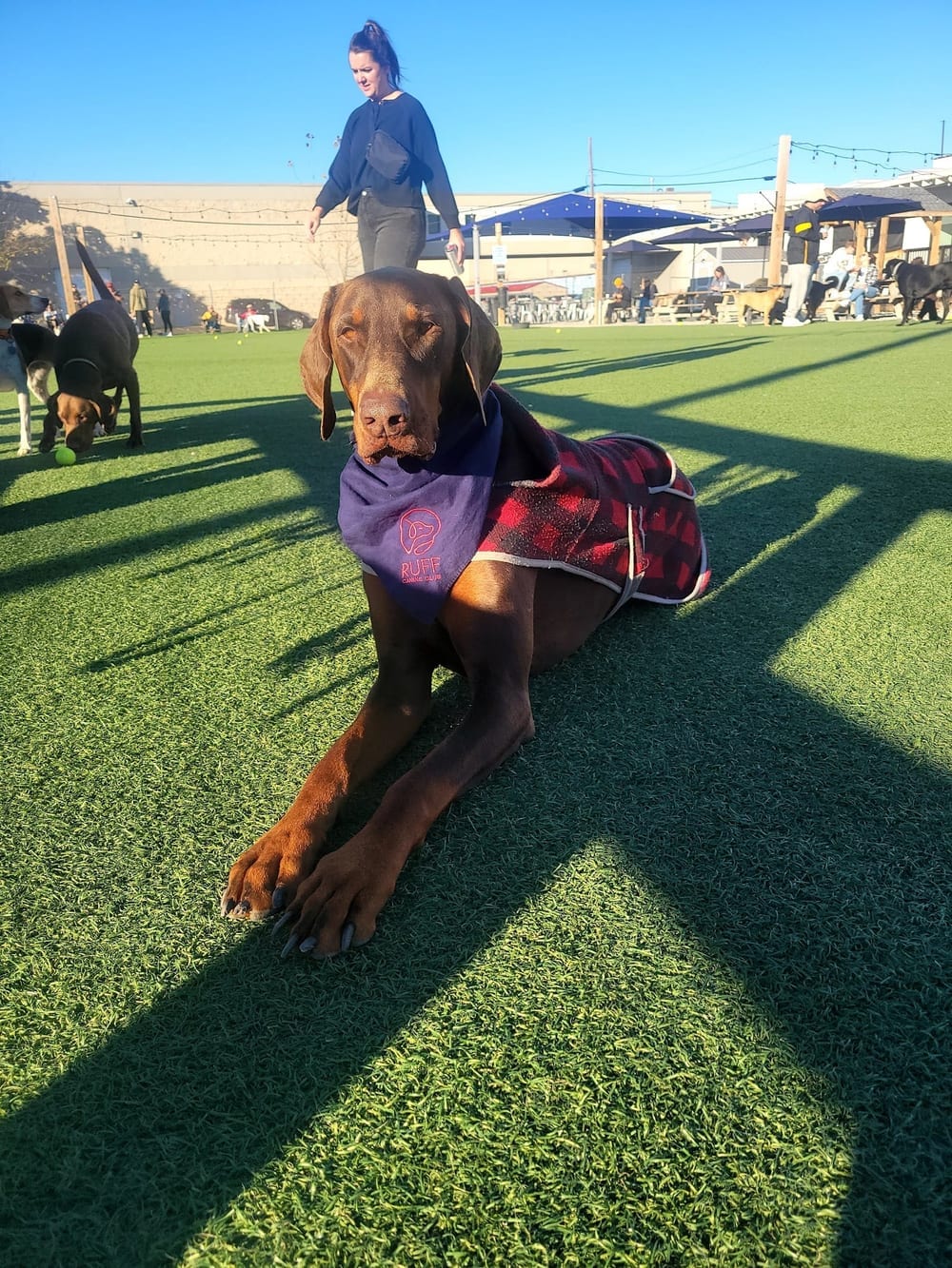 Ruff Canine Club, photo 3