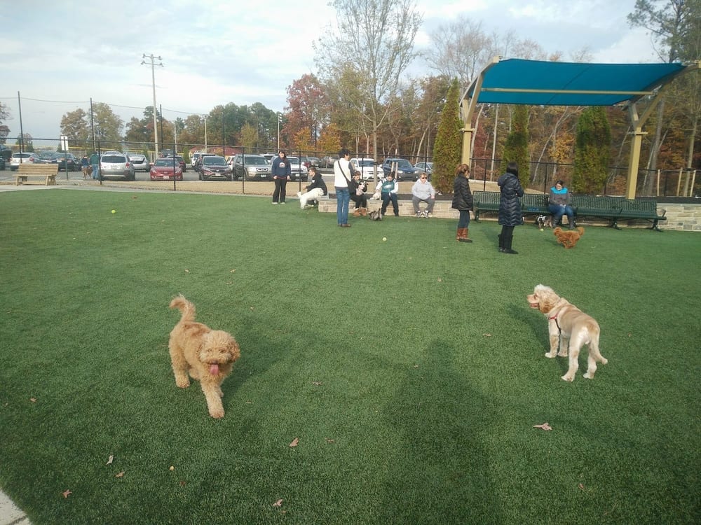 Short Pump Park, photo 3