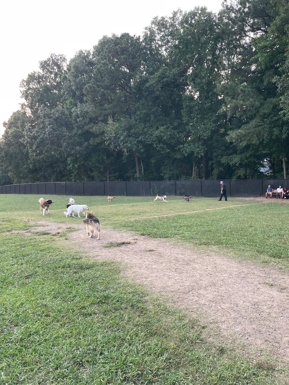 The Clover Hill Dog Park, photo 3