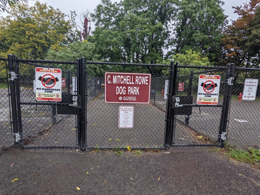 Cobbs Hill Dog Park, photo 2