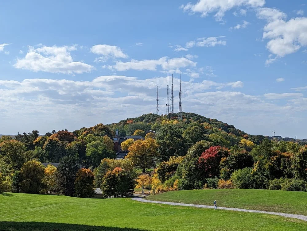 Cobbs Hill Park, photo 2