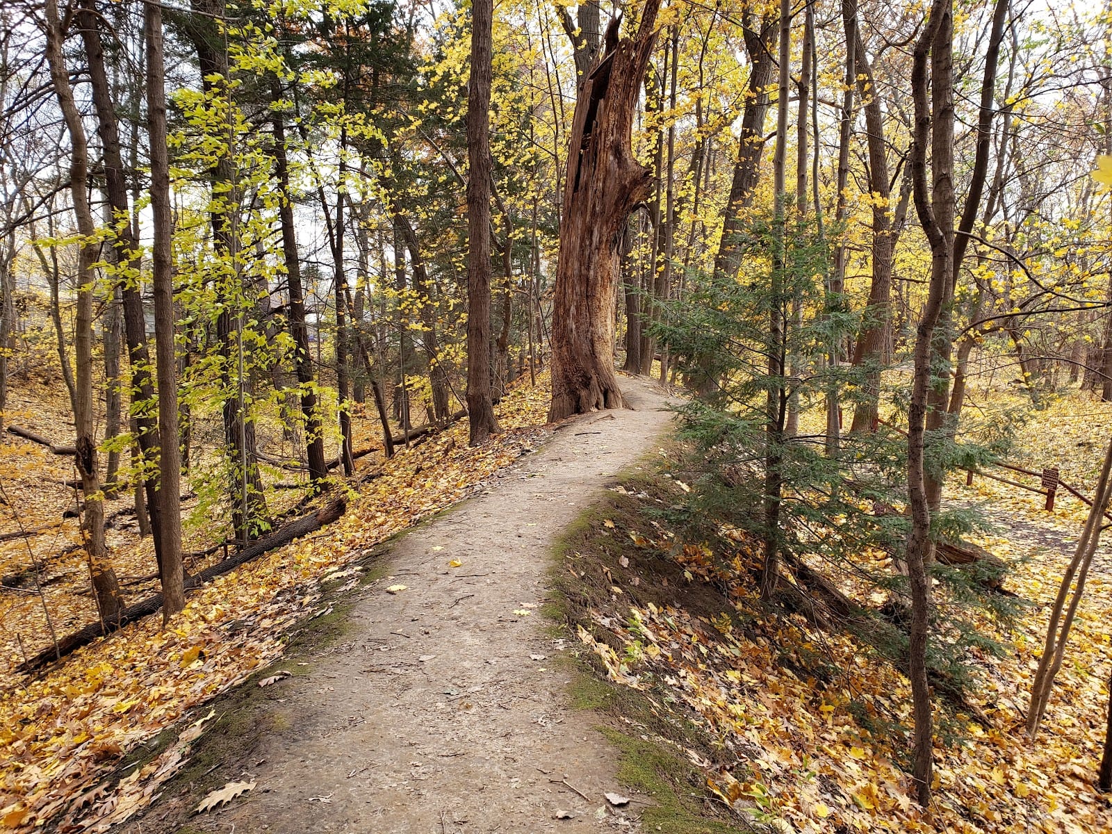 Corbett's Glen Nature Park