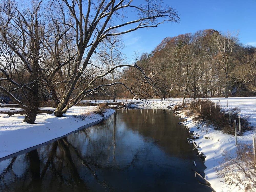 Ellison Park, photo 2