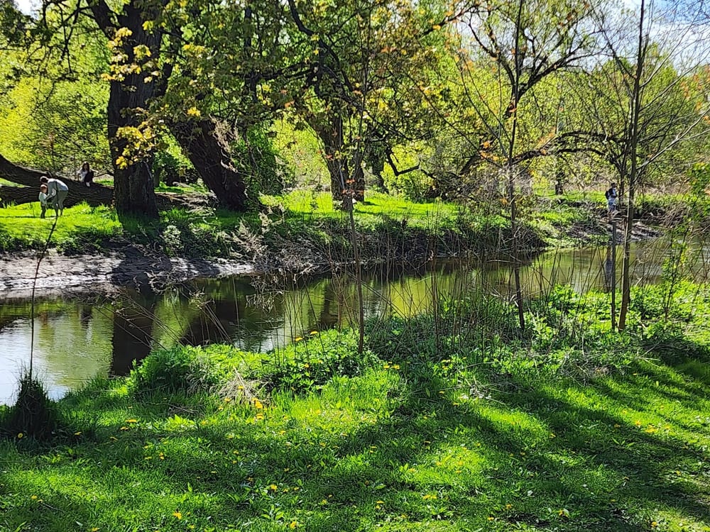 Ellison Park, photo 3