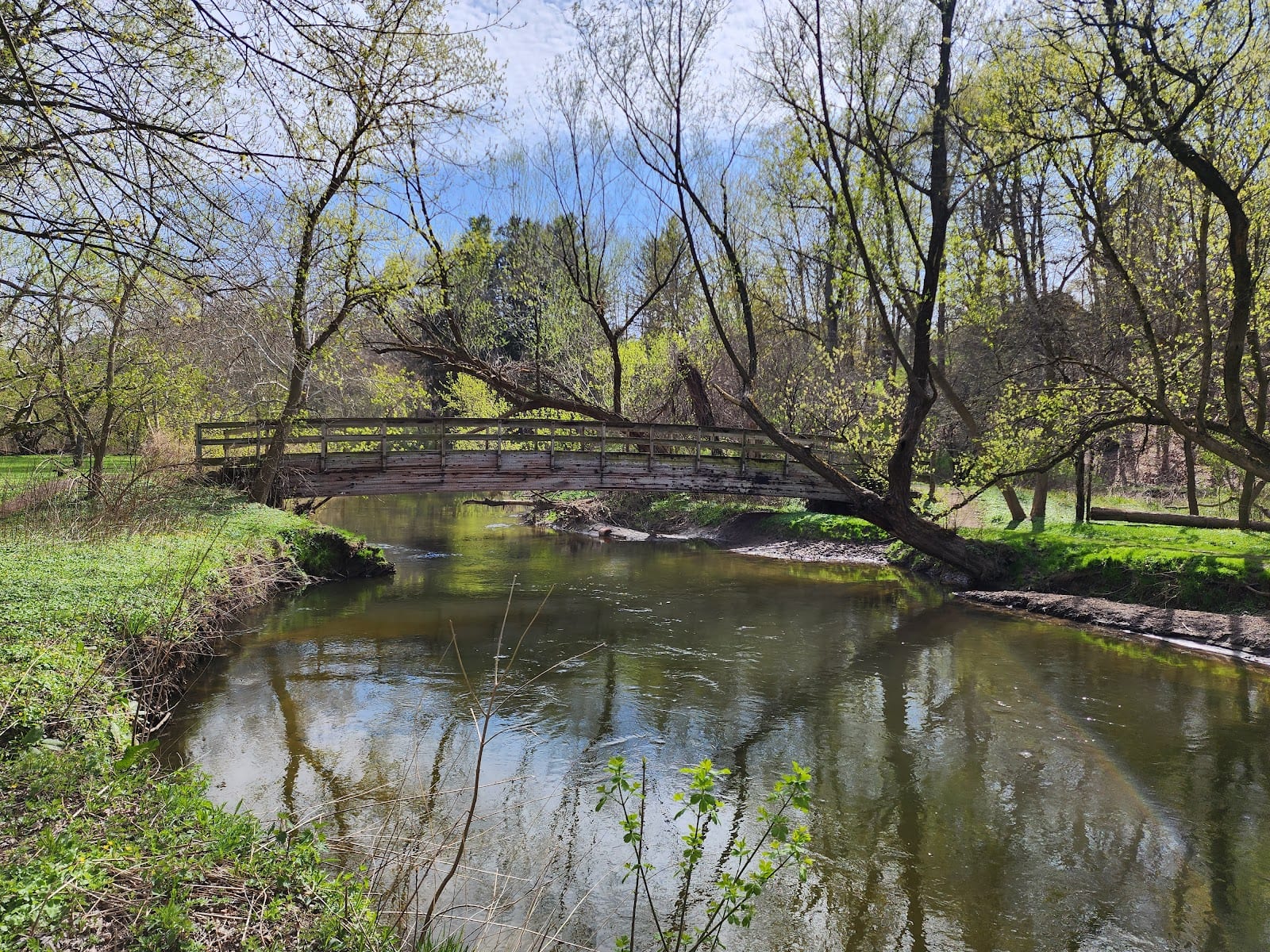 Ellison Park