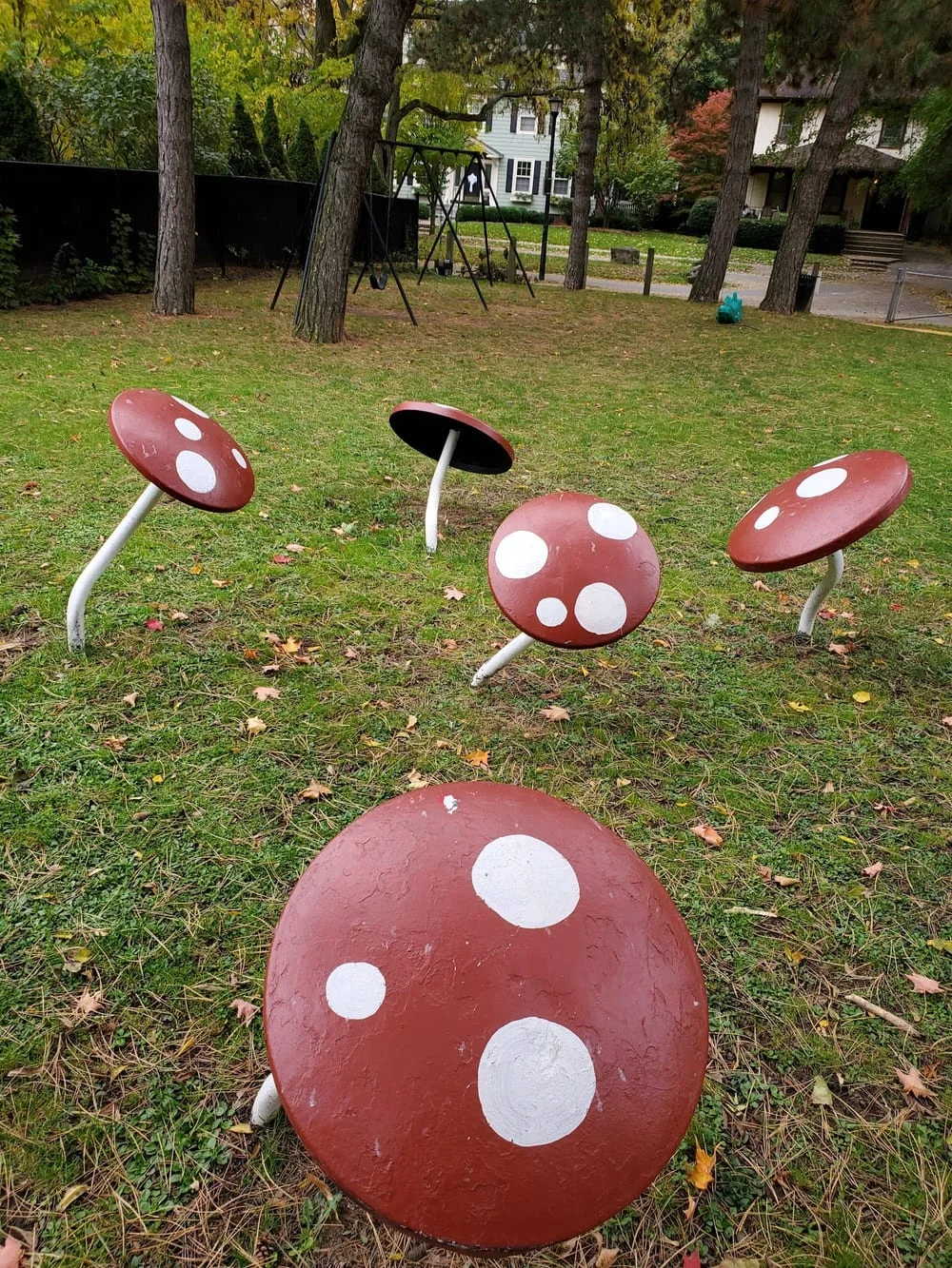 Goodwin Park, photo 3