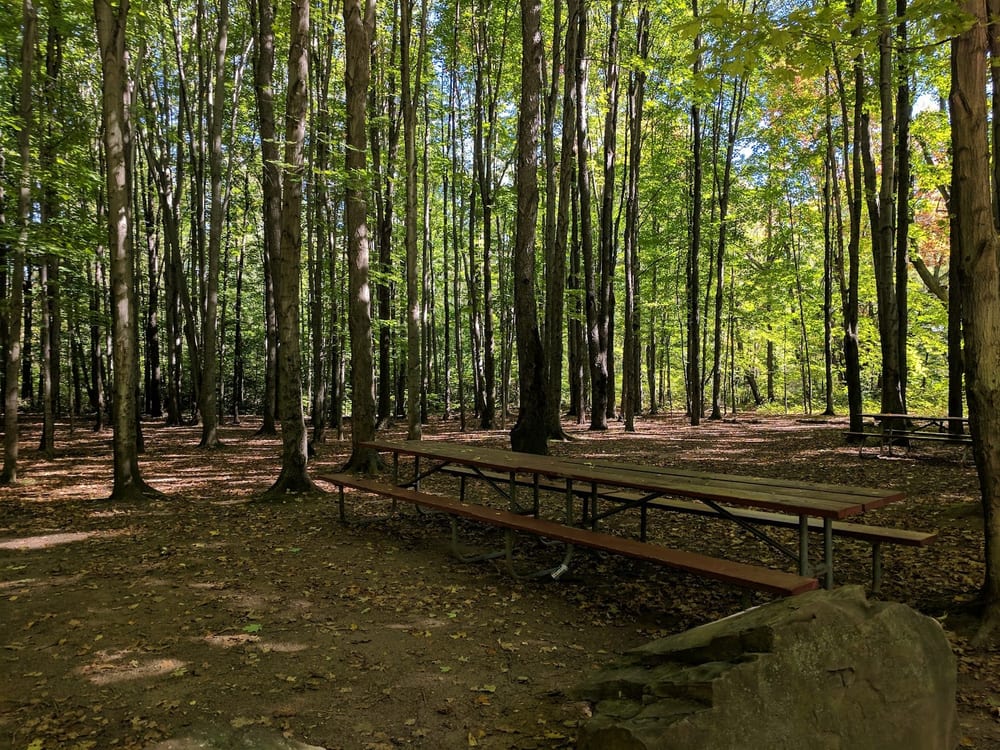 Greece Canal Park, photo 3