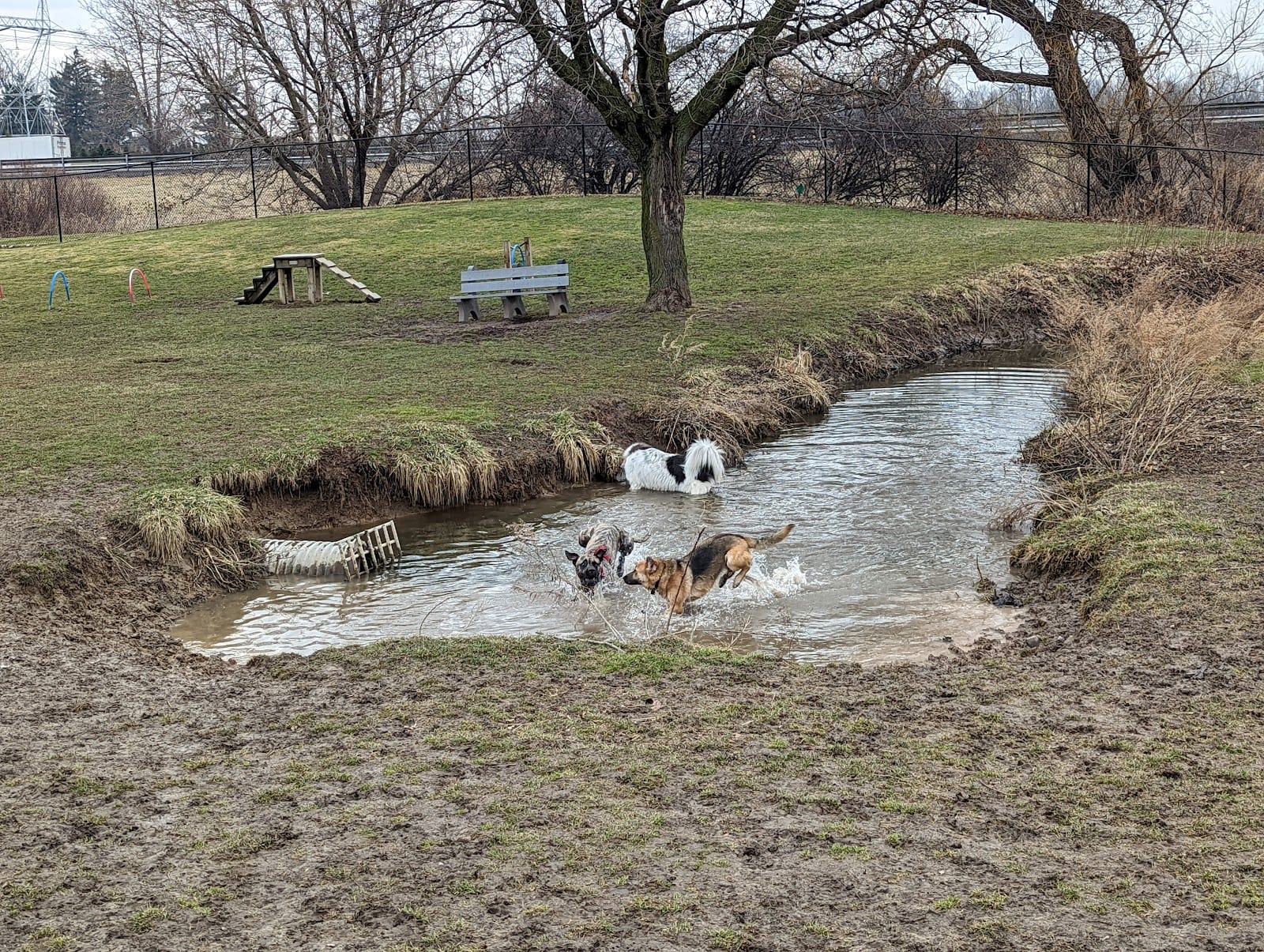 Henrietta Dog Park