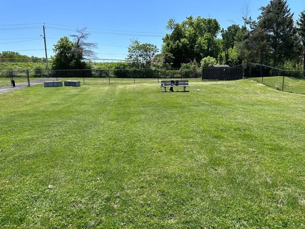 Lookup Park, photo 2