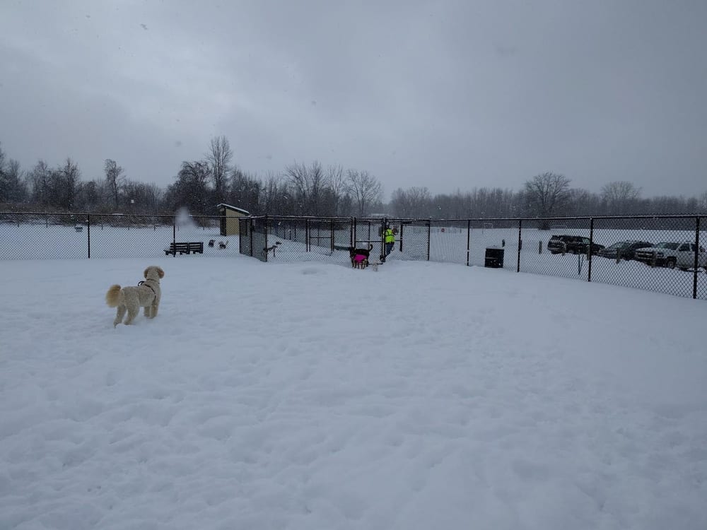 Sweden Dog Park, photo 2
