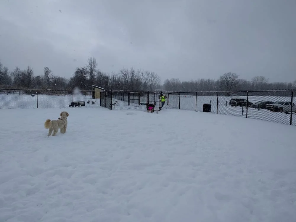 Sweden Dog Park, photo 2