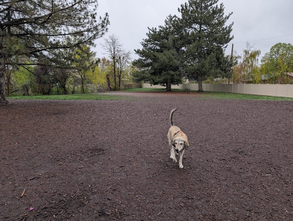 Brickyard Bark Park, photo 2