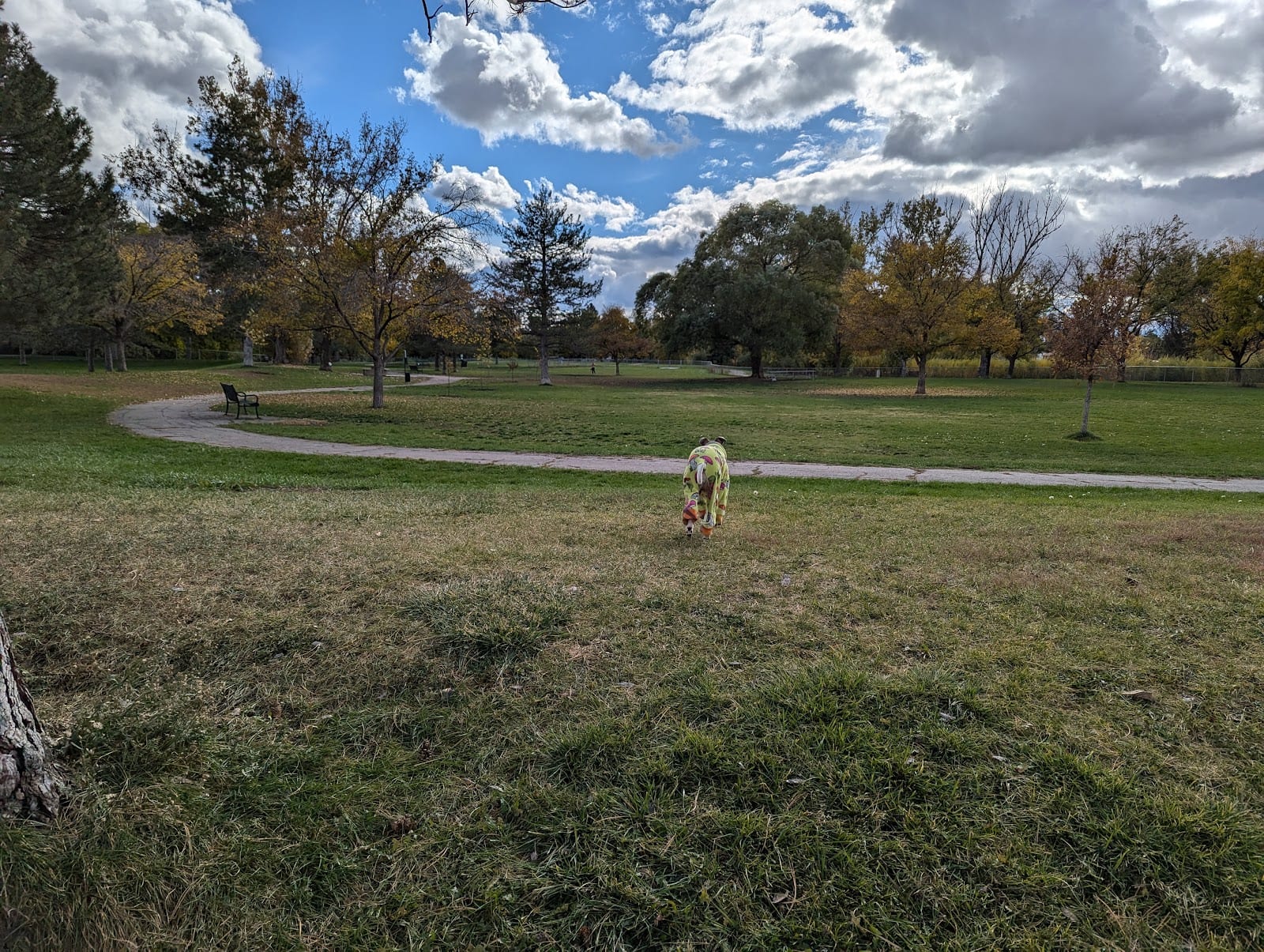 Cottonwood Dog Park