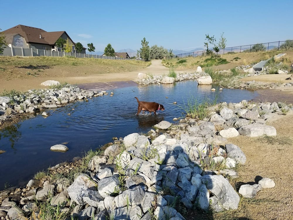 Draper Dayland Dog Park, photo 3