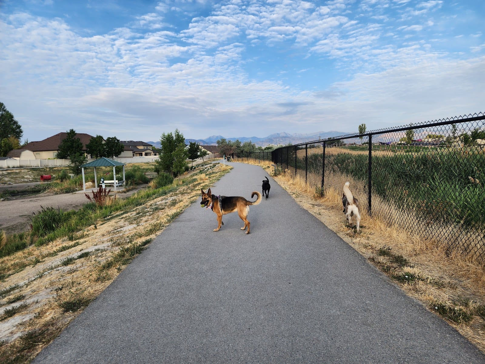 Draper Dayland Dog Park