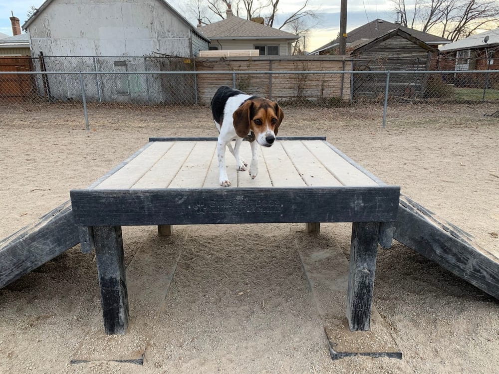 Herman Franks Dog Park, photo 2