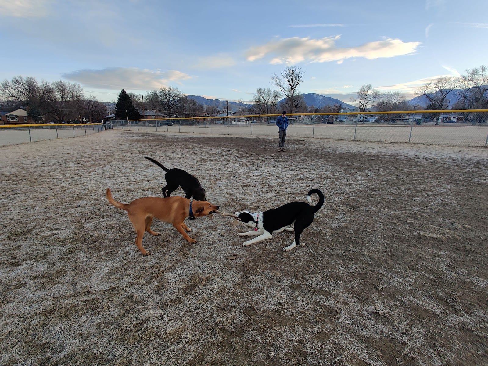 Herman Franks Park