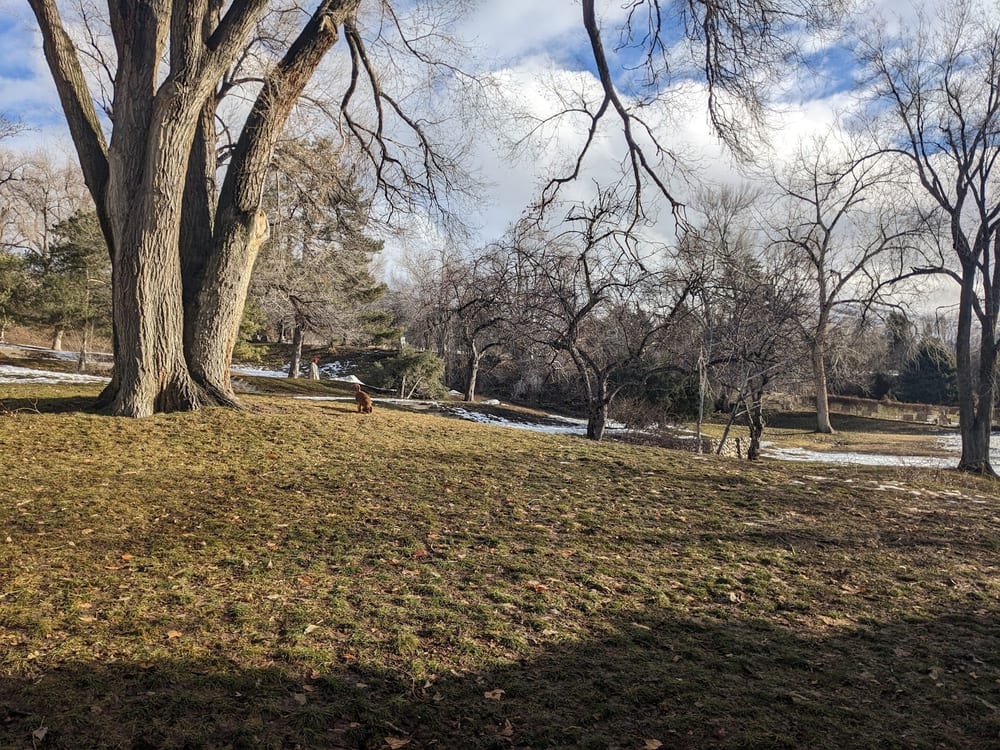 Lindsey Gardens, photo 2