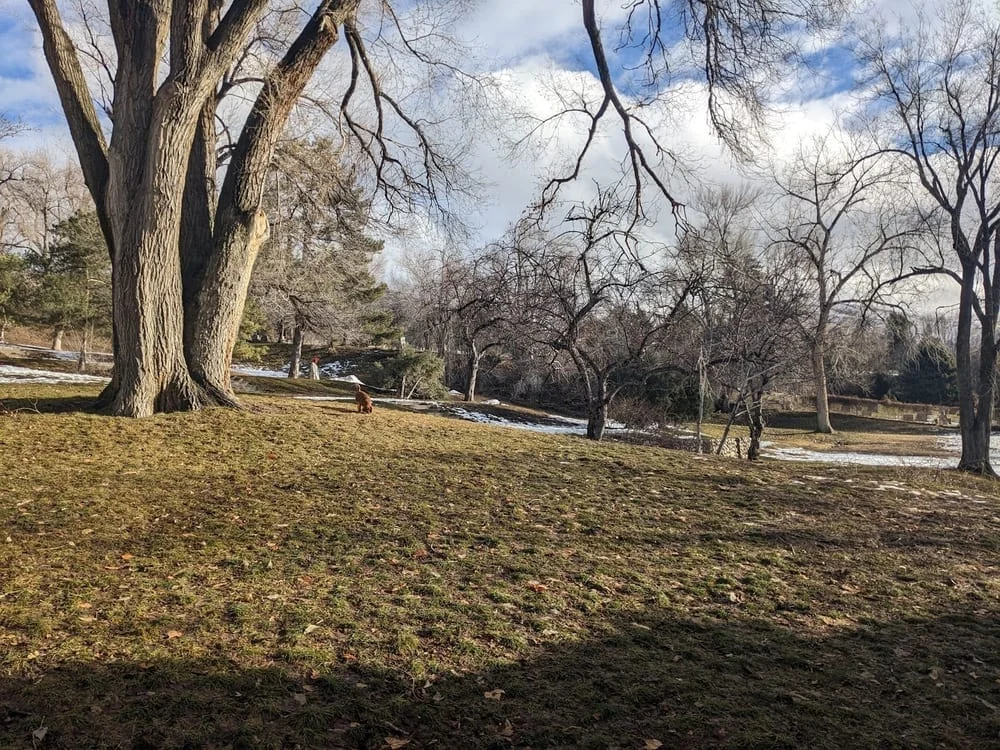 Lindsey Gardens, photo 2