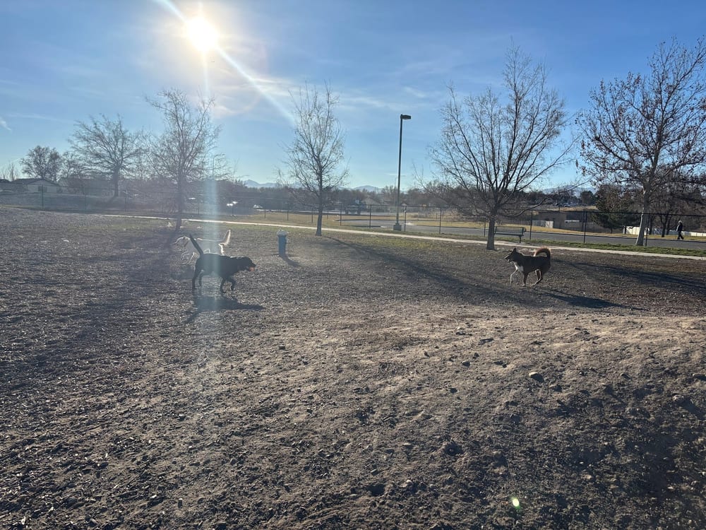 Millrace Off-Leash Dog Park, photo 2