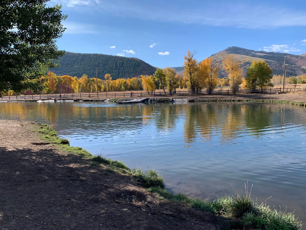 Willow Creek Dog Park, photo 2