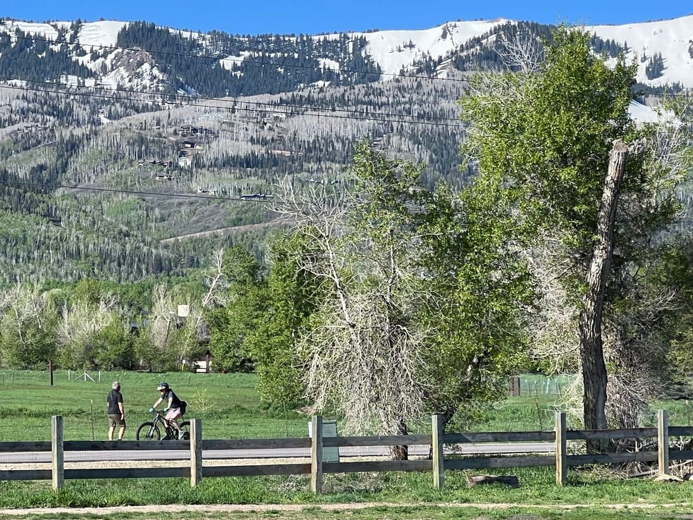 Willow Creek Dog Park, photo 3